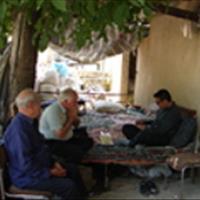 بازدید و ارزیابی مزارع سردابی استان آذربایجان غربی