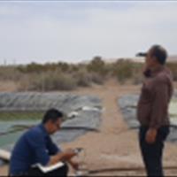 بازدید از مزارع پرورش آرتمیا و ماهی قزل آلای رنگین کمان مناطق محروم استان اصفهان
