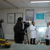 تهیه برنامه تلویزیونی ترویجی در مرکز تحقیقات آرتمیای کشور
