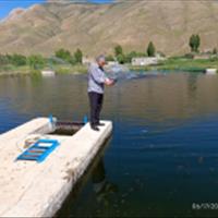 احصاء مشکلات و ارزیابی عملکرد تجهیزات مکانیزاسیون مزرعه شرکت قزل ماهی بنار آذربایجان غربی