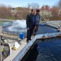 استمرار فعالیت‌های مرکز تحقیقات آرتمیای کشور در ایام جنگ