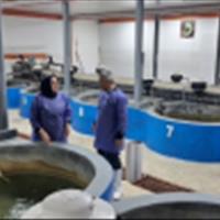 بازدید از توانمندی ها و پایلوت SPF ماهی قزل آلای رنگین کمان مرکز تحقیقات ماهیان سردآبی کشور
