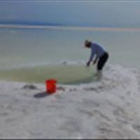 نمونه برداری پروژه پایش ذخایر آرتمیای دریاچه ارومیه و ارتباط آن با عوامل اکولوژیکی