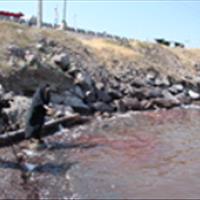 گزارش آخرین وضعیت فاکتورهای فیزیکی و شیمایی و بیولوژیکی دریاچه ارومیه